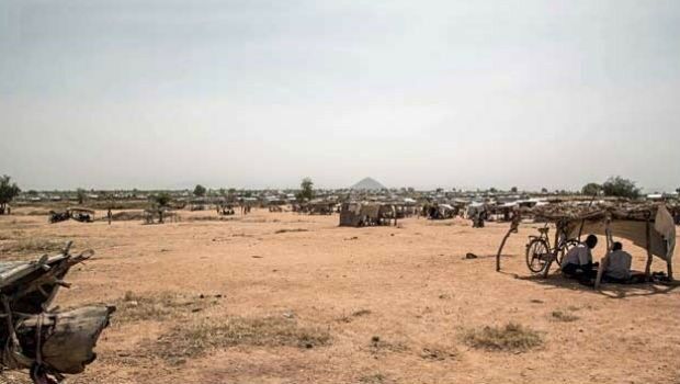 High-level humanitarian support (from import)
