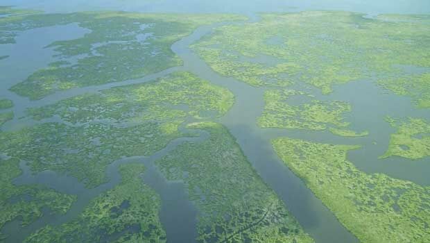 The proof is in the vegetation map (from import)