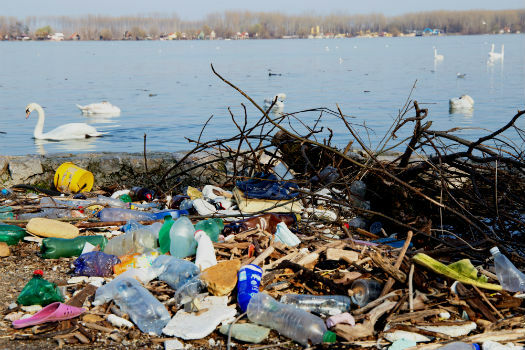 Predicting plastic pathways in the Thames and beyond (from import)