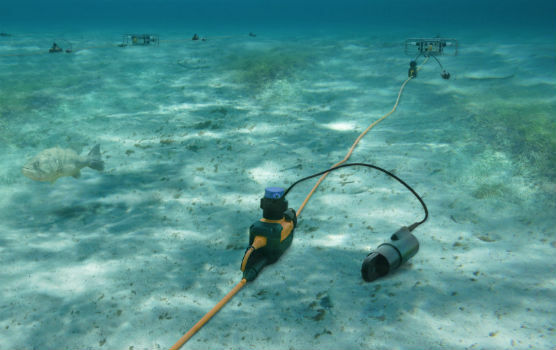 Sercel Extends Capability of 508XT Seismic Acquisition System (from import)