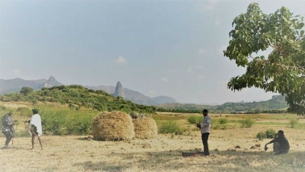 £4.4m to help reduce 'hidden hunger' in Ethiopia and Malawi (from import)