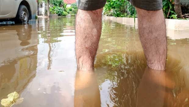 Analysing footprints  in the flood (from import)