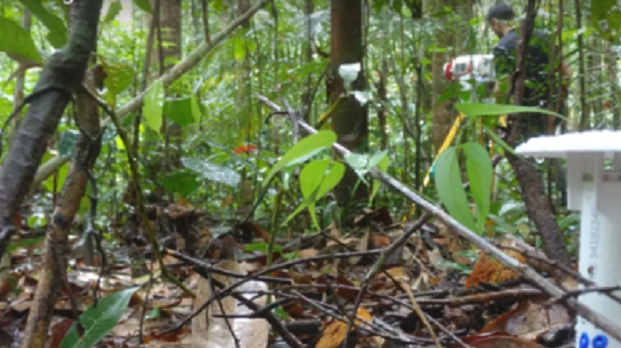 Riegl VZ-400i used to detect deforestation in the Amazon rainforest (from import)