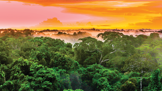 Riegl announces new Colombian Distributor (from import)