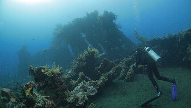 See under the sea (from import)