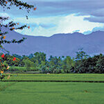 SuperPad Supports Environmental Management in the Philippines (from import)