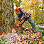 Orbital Tracking Corp. setup SPOT Gen3® Messengers for UK Forestry Commission (from import)