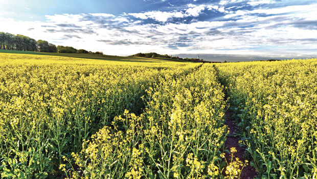 Smarter farming (from import)