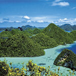 SuperSurv Selected by Indonesian Agency for Forest Conservation (from import)