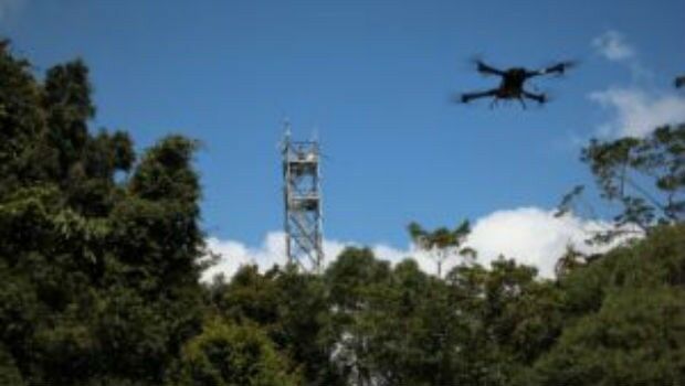 Novel LIDAR Data Improves Our Understanding Of Tropical Forests (from import)