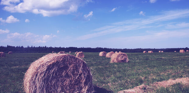 Data validation from 1Spatial helps support Rural Payment Agency (RPA) (from import)