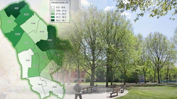 Bluesky National Tree Map Reveals Islington’s Tree Cover (from import)