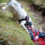 Communicating a Unified Vision for UK Lowland Search and Rescue (from import)