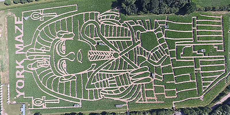Int v22 i3 York maze