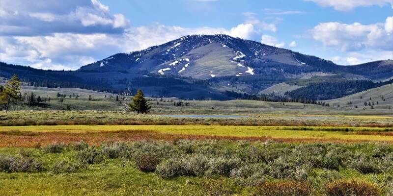 Montana 800x400 1
