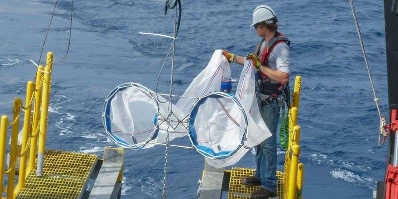 Plankton nets 1