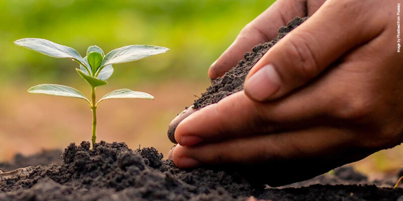 Plnatbest soil 8166778 THUMBNAIL