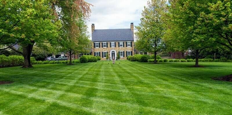 U blox lawn 800x400