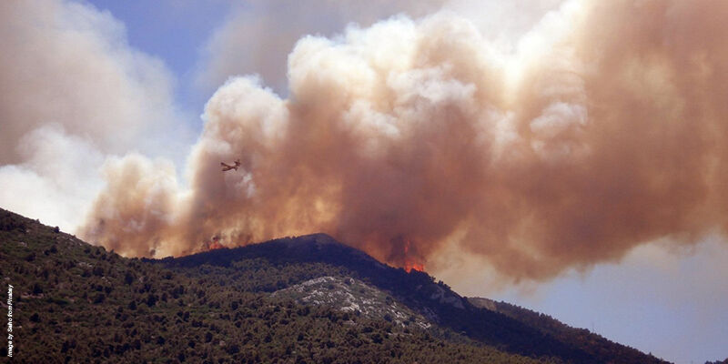 Wildfire 1826204 1280 THUMBNAIL