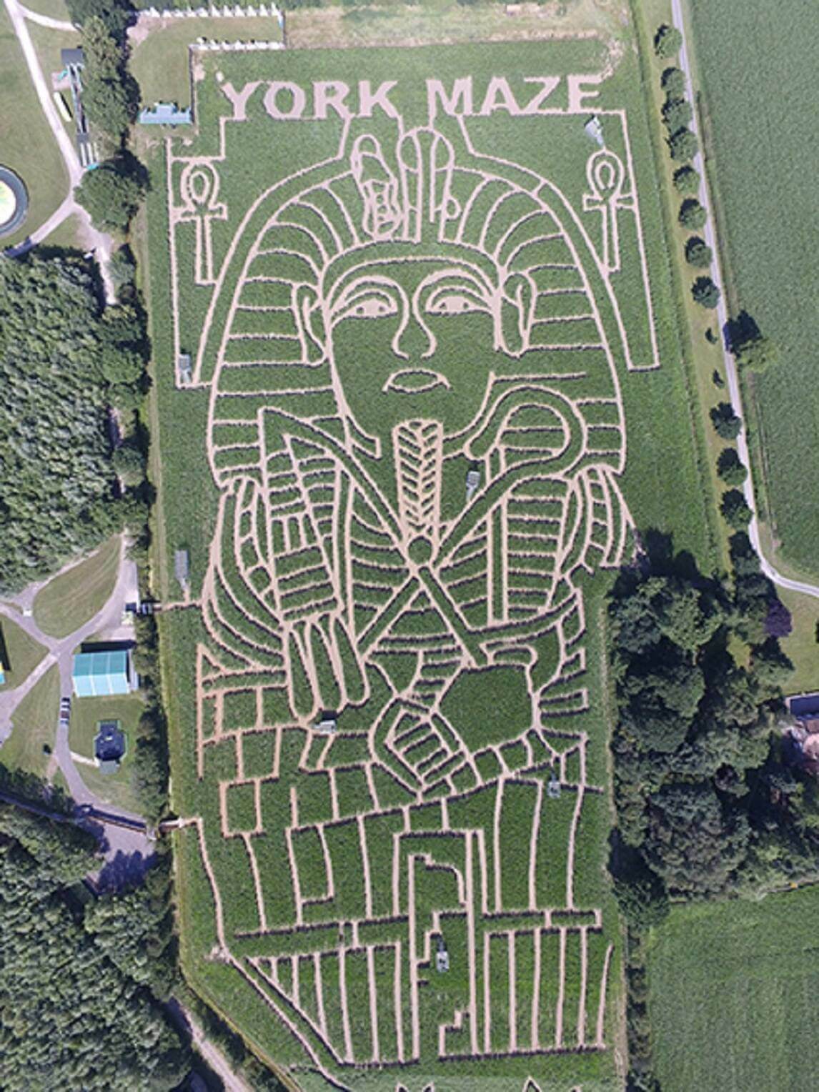 york maze