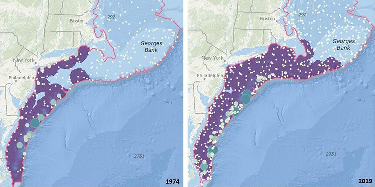 NOAA Fisheries Tool Maps